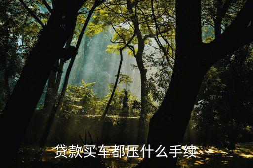 按揭需要抵押機動車登記證嗎(按揭車要抵押登記證書)？ (http://www.osahdrypack.cn/) 知識問答 第3張