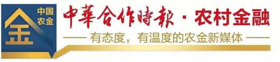 璜涇鎮(zhèn)汽車抵押貸款(專業(yè)汽車抵押貸款)？ (http://www.osahdrypack.cn/) 知識問答 第2張