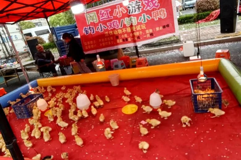 常州車輛抵押貸款(常州抵押貸款車輛怎么過戶)？ (http://www.osahdrypack.cn/) 知識問答 第11張