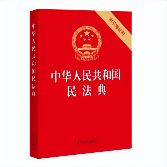 上海車牌抵押借款(滬牌額度租賃法律風險)？ (http://www.osahdrypack.cn/) 知識問答 第4張