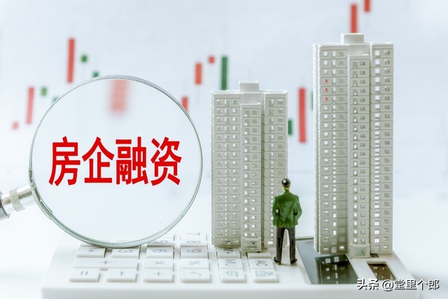 20萬車抵押貸款能貸多少(房貸額度影響因素分析)？ (http://www.osahdrypack.cn/) 知識問答 第3張