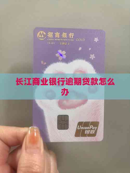 車輛 抵押貸款咨詢(逾期貸款處理方法)？ (http://www.osahdrypack.cn/) 知識問答 第2張